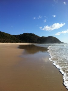 Pictures on iphonejan2013 1177